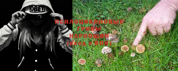 mdpv Майский