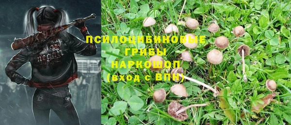 метадон Мегион