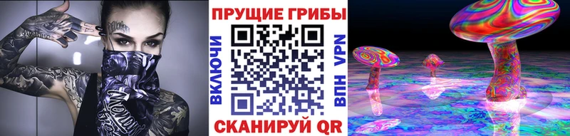 цены МЕГА ONION Галлюциногенные грибы прущие грибы Владикавказ