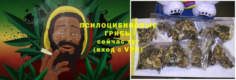 Галлюциногенные грибы Magic Shrooms  Владикавказ 