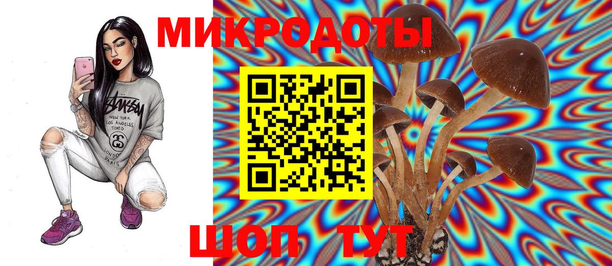 Псилоцибиновые грибы ЛСД  Владикавказ  Галлюциногенные грибы Cubensis 