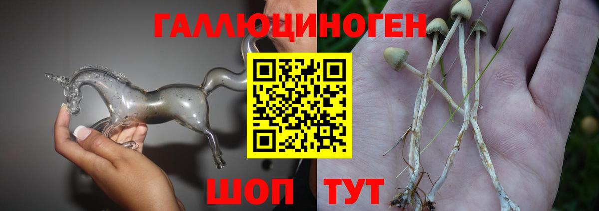 Псилоцибиновые грибы Cubensis  Вход с VPN  Владикавказ 